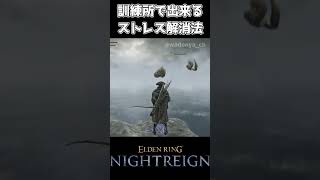 【ナイトレイン】訓練所で出来るストレス解消法【エルデンリング】