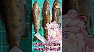【 釣り 】解禁された渓流で、キラキラの魚を釣る！ 【 VTuber 】 #shorts