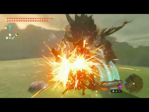 【ティアキン】縛り討伐アラブー平野のライネル　ゼルダの伝説ティアーズオブ ザキングダムNintendo Switch 2 Edition #zelda