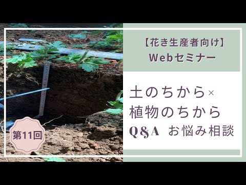 【花き生産者向けセミナー】第11回　  土のちから×植物のちから～Q&A お悩み相談会