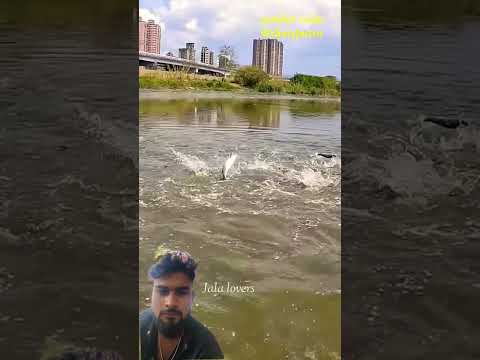 #fishing #bassfishing #fish #jalaikan #run #jala #menjalaikan #funny