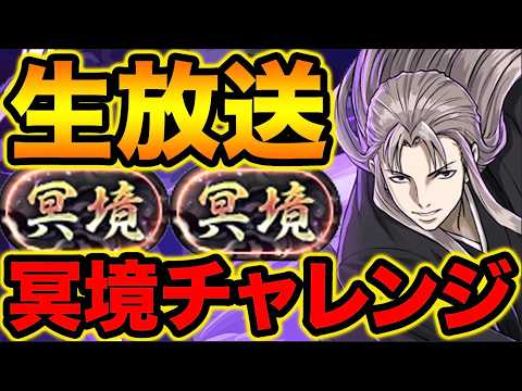 【パズドラ】冥境チャレンジ虚で遊ぶ！！！！！！！！！【スー☆パズドラ】
