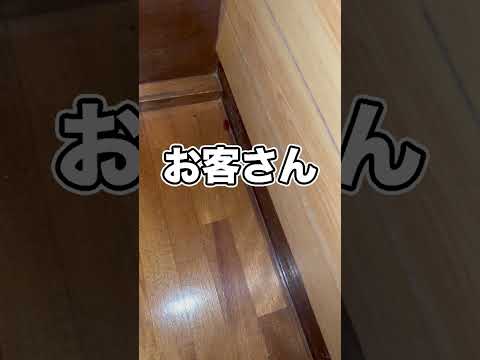 家の中にゴキブリが出現したので捕まえました…