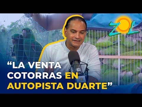 Jose? Laluz condena y califica de maltrato animal la venta de cotorras en la autopista Duarte