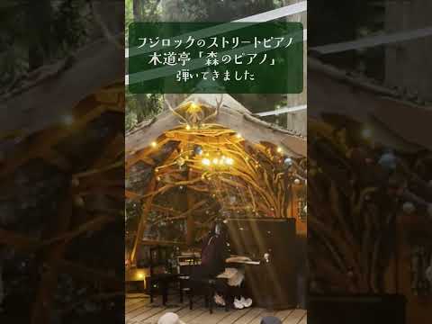 フジロックでストリートピアノ弾いてきました