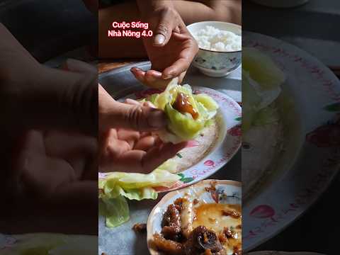 쌈장에 찍어 먹은 데친 양배추는 먹지 마세요.