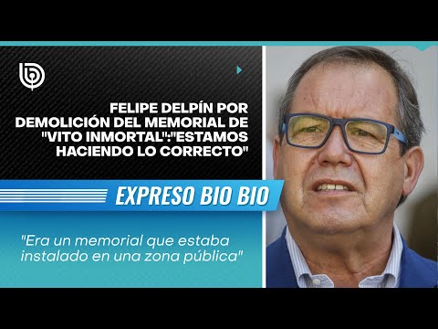 Felipe Delpín por demolición del memorial de Vito Inmortal: Estamos haciendo lo correcto