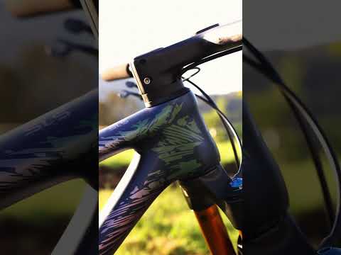 LYNX SLS | NEW SEASON, New colors & New Setups