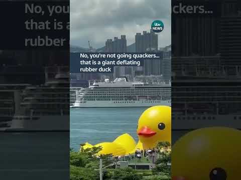 Yes that is a giant deflating duck… #itvnews #duck #hongkong