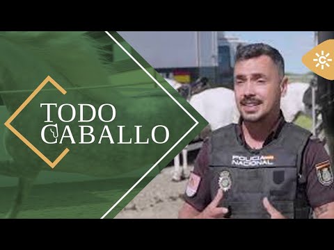 TodoCaballo | La Policía Nacional exhibe su escuadrón de caballería en Sevilla