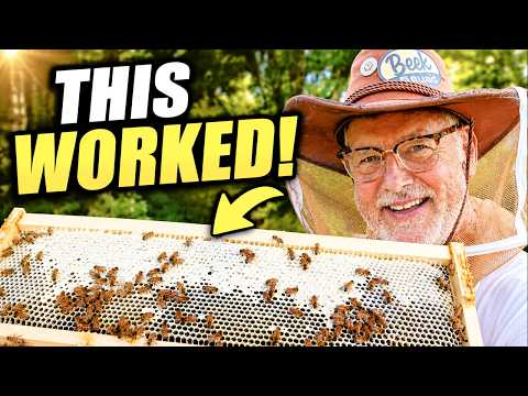 I Tried Checkerboarding Honey Supers... Here's What Happened