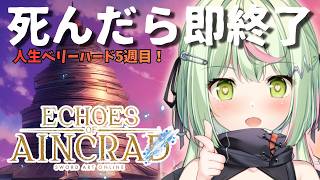 【Echoes of Aincrad】デスゲーム＆ベリーハードモード人生6週目にはなりたくない！パート5　ネタバレ注意【日ノ隈らん /のなめ