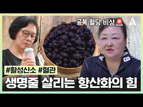 [#건강스페셜한양촌] 혈관을 부탁해!😊 어지럼증으로 쓰러진 뒤경동맥 협착증 진단을 받았던 그녀가 다시 건강을 회복한 비결은?  | 건강스페셜 한양촌 110회