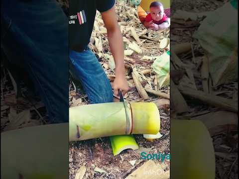 #Short Video #Bambu Catting💗🇮🇳