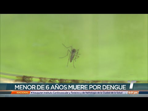 Reportan muerte de una menor por dengue en Panamá Oeste