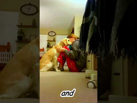 This dog is really cute.