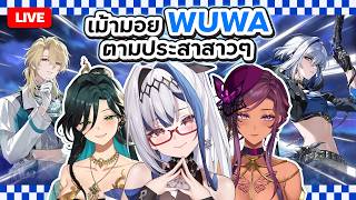 Chatting ✦ เล่น wuwa ทันแพทช์แล้วมาเม้ากัน @Evalia_ARP @Famine_ARP | Z