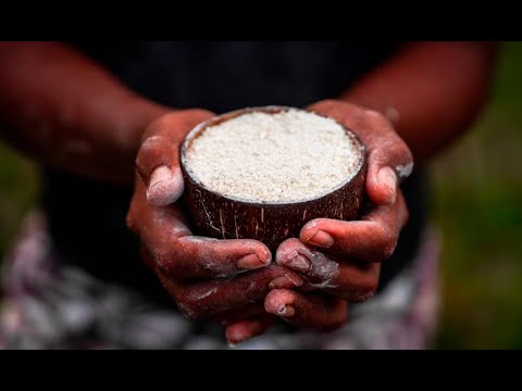 Tap - Authentic Açaí & Tapioca Sourcing in Brazil