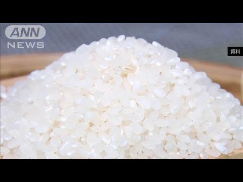 ニュースの動画サムネイル - スーパーのコメ販売価格　3カ月半ぶり3000円台に(2025年6月23日)