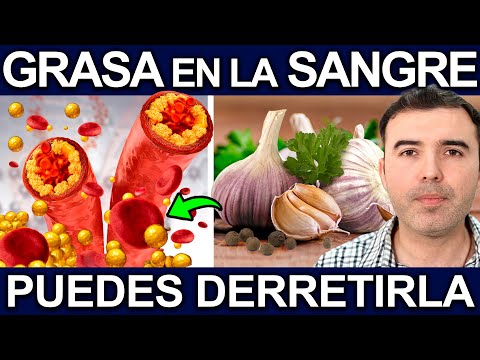 BAJA TU COLESTEROL Y TRIGLICERIDOS Y ELIMINA LA GRASA DE TU SANGRE