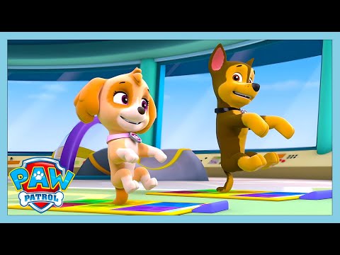 PUP PUP BOOGIE! | Paw Patrol | WildBrain Kids