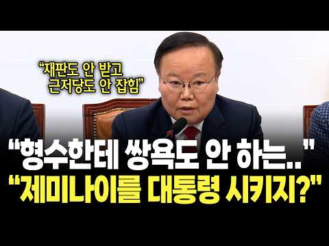 김재원 "재판도 안 받고 형수한테 쌍욕도 안 하는 제미나이 니가 대통령하는 게 어때?" / 국민의힘 최고위원회의