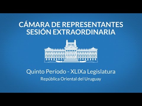 Cámara de Representantes. Sesión extraordinaria. Martes 04 de junio de 2024, hora 11:00.