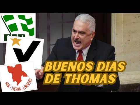THOMAS RIVERA SCHATZ SE LAS CANTA A PPD/MVC/PIP