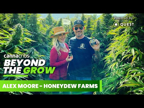 Humboldt Legacy Grower Honeydew Farms: Built to Last