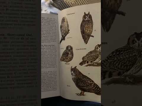 Що таке визначник птахів?
