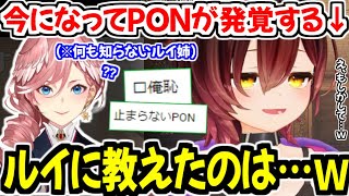 ロボ子さんの自宅近くの謎(?)すぎる立地の話と、巻き込まれる何も知らないルイ姉w【ホロライブ切り抜き/ロボ子さん】