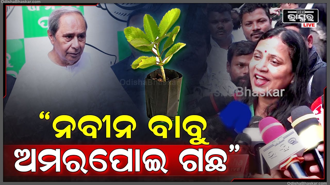 "ମୋ ନେତା ହେଉଛନ୍ତି ଅମରପୋଇ ଗଛ ,ସେ ଏକମାତ୍ର ହେଉଛନ୍ତି ଆମ ସମସ୍ତଙ୍କର ନେତା " ସୁଲତା ଦେଓ Sulata On Naveen