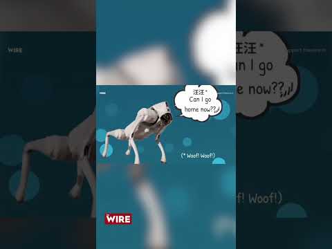 Galgotiaaaaaaa! | By: Your 6pm Can Be My 9am Productions