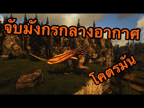 ARK:SurvivalEvolved:จับมังก