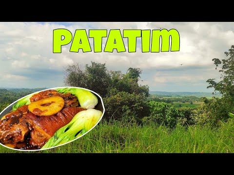 Paano magluto ng patatim ng mabilisan