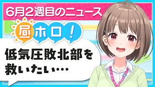 【#昼ホロ】低気圧に負けるな！お昼のまったりニュース✨️📝【春先のどか/holoAN】