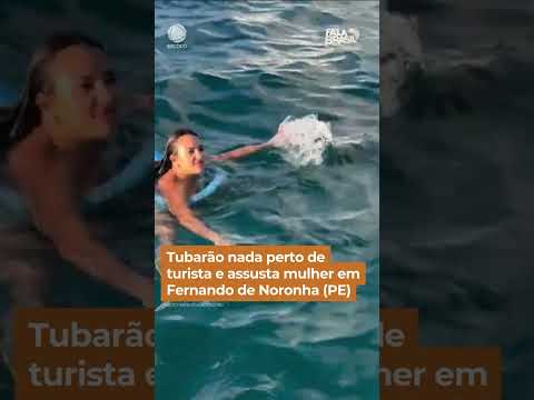 Tubarão nada perto de turista e assusta mulher em Fernando de Noronha (PE) #Shorts #FalaBrasil