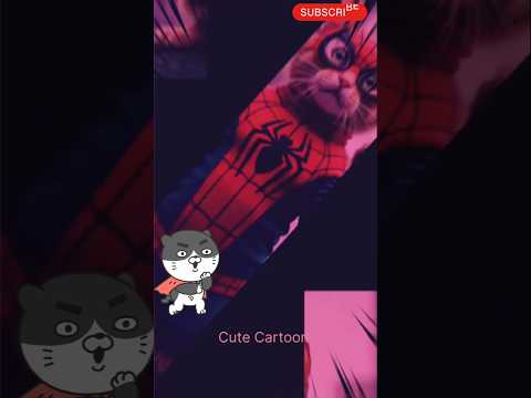 wooow😲cat dance style|Cat dance|#shorts #cat #catvideos #cutecartoon #usacats