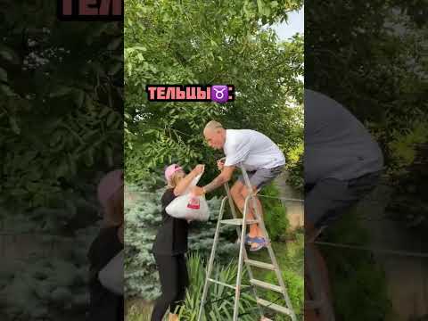 Как ходят в гости знаки зодиака #funny #знакизодиака #мотя