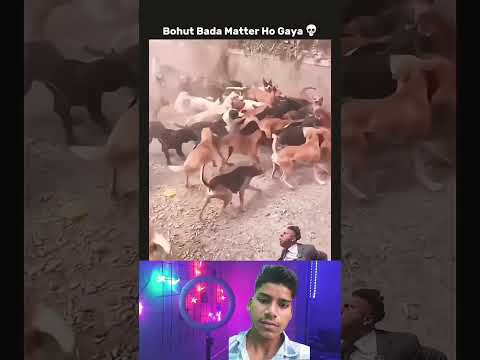 #funny #comedy #lion #unfrezzmyaccount #love #ytshorts #youtubeshorts #tiktokeffects #😂😂🤣😂