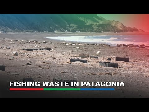 Fishing waste chokes marine wildlife in Argentina's Patagonia