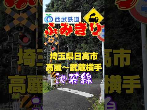 山の中の絶景踏切を駆け抜ける特急ラビューと4000系🚋🌲#踏切 #西武池袋線 #特急ラビュー #4000系 #西武鉄道 #埼玉県日高市 #山の中 #鉄道 #電車 #鉄道風景 #のどか #絶景スポット