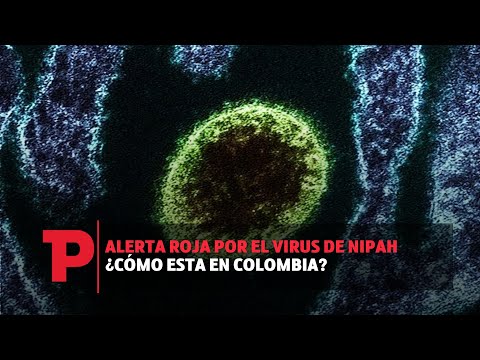 Alerta roja por el virus de Nipah ¿Cómo esta en Colombia? | 29.09.2023 | Telepacífico Noticias