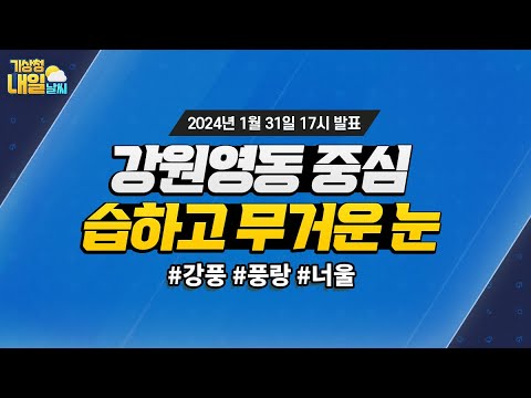 [내일날씨] 강원영동 중심 습하고 무거운 눈. 1월 31일 17시 기준