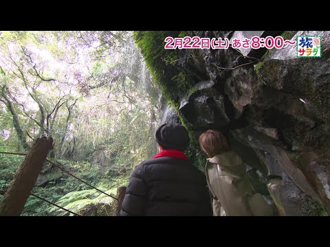 海外の旅は台湾！ゲストの旅は平野レミ・和田明日香！「旅サラダ」2月22日（土）放送