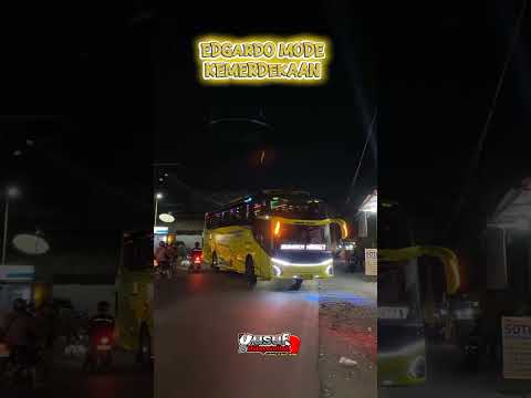 Latepost‼️masih dalam rangka kemerdekaan 🇮🇩 #bus #kemerdekaan #basuri #shorts #trending