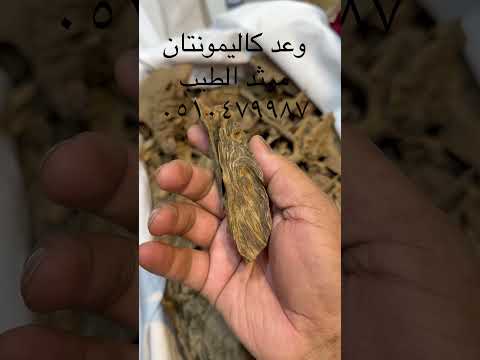 ‏كلمت ‏ملينا #riyadh #saudiaarbia #abha