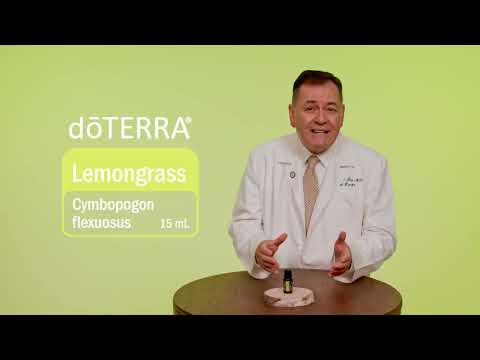 Hierbabuena (Lemongrass)