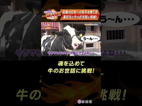 【西脇知事の一球入魂！】～日本一の○○を育てる高校生と○のお世話に挑戦！～ ＃12 #京都府 #shorts