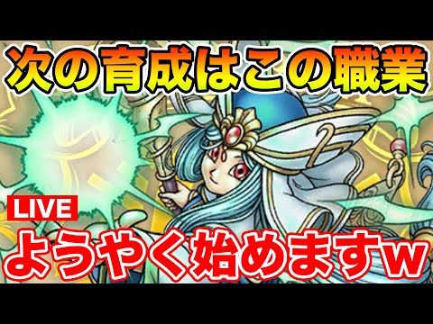 【ドラクエウォーク】ようやく本格的な大神官育成を始めます!!【DQW】